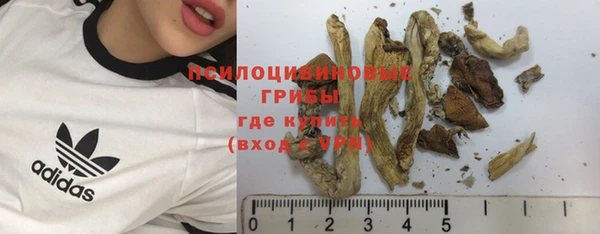 стаф Балабаново
