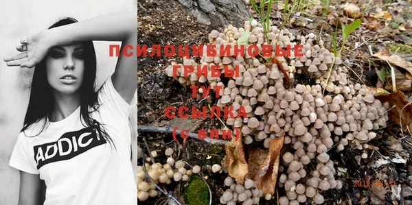стаф Балабаново