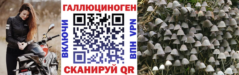 мориарти Telegram  Туапсе  Псилоцибиновые грибы Magic Shrooms 